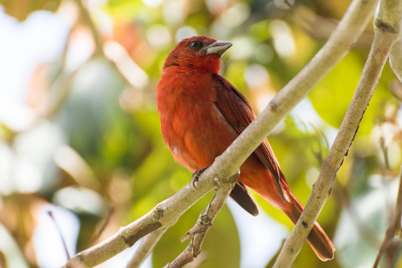 Kantarrana Casa De Campo Jardin Dış mekan fotoğraf