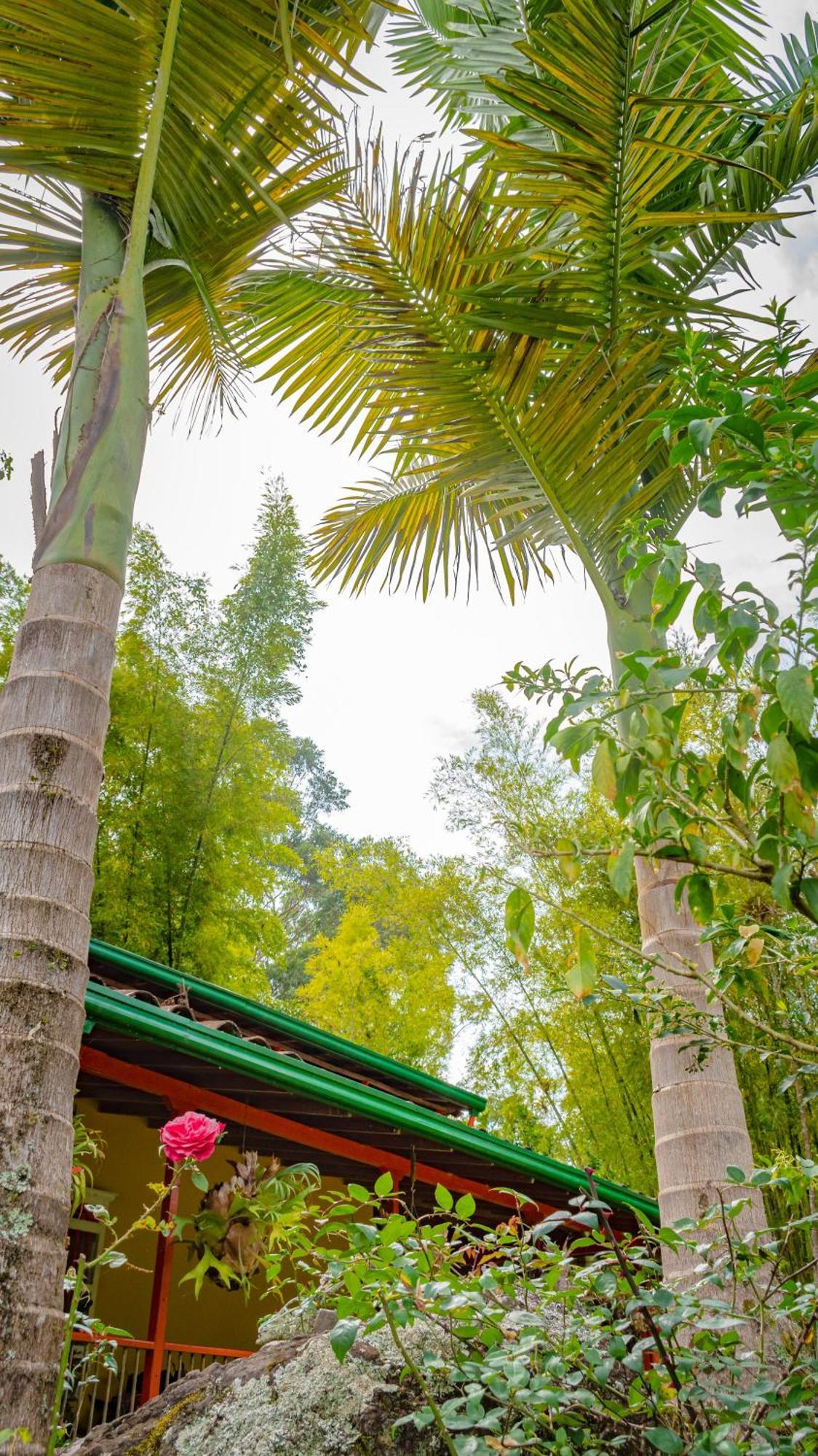 Kantarrana Casa De Campo Jardin Dış mekan fotoğraf