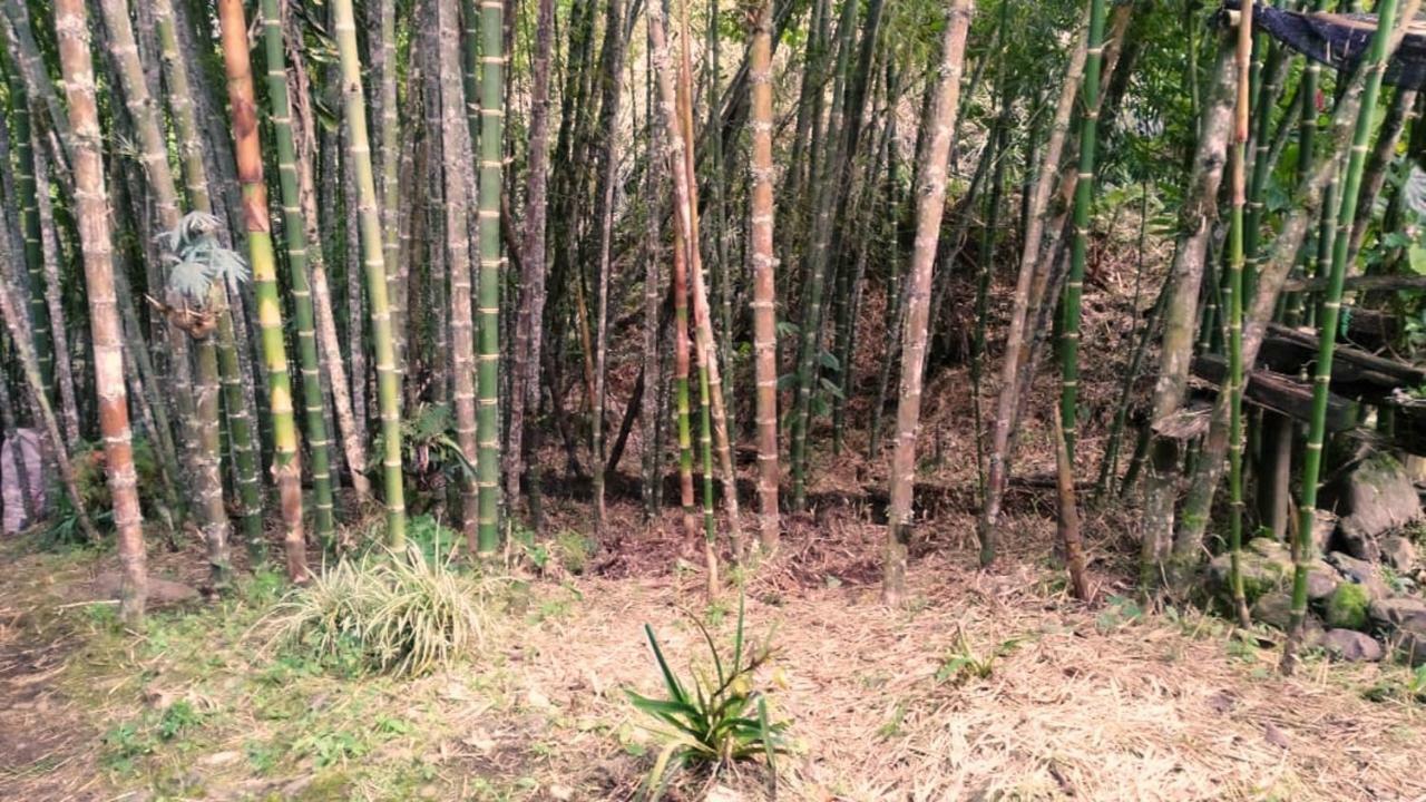 Kantarrana Casa De Campo Jardin Dış mekan fotoğraf